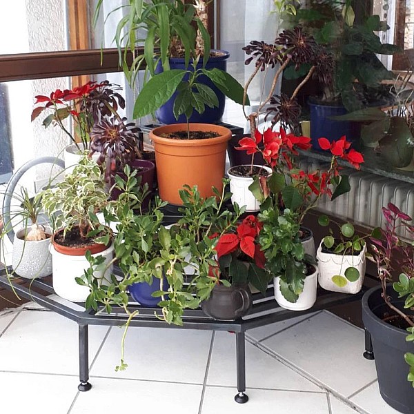 Kundenbild: 001--blumenstaender.jpg